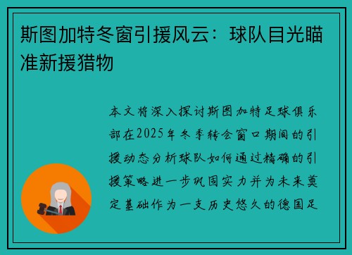 斯图加特冬窗引援风云：球队目光瞄准新援猎物